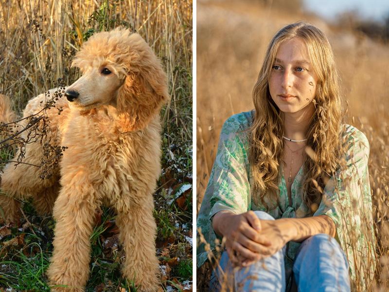 Quelle race de chien me convient ?